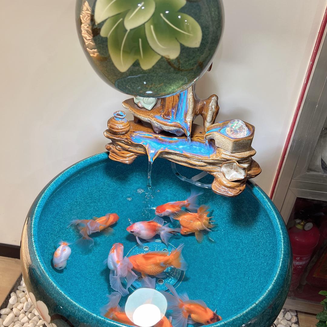 爱拼一定赢