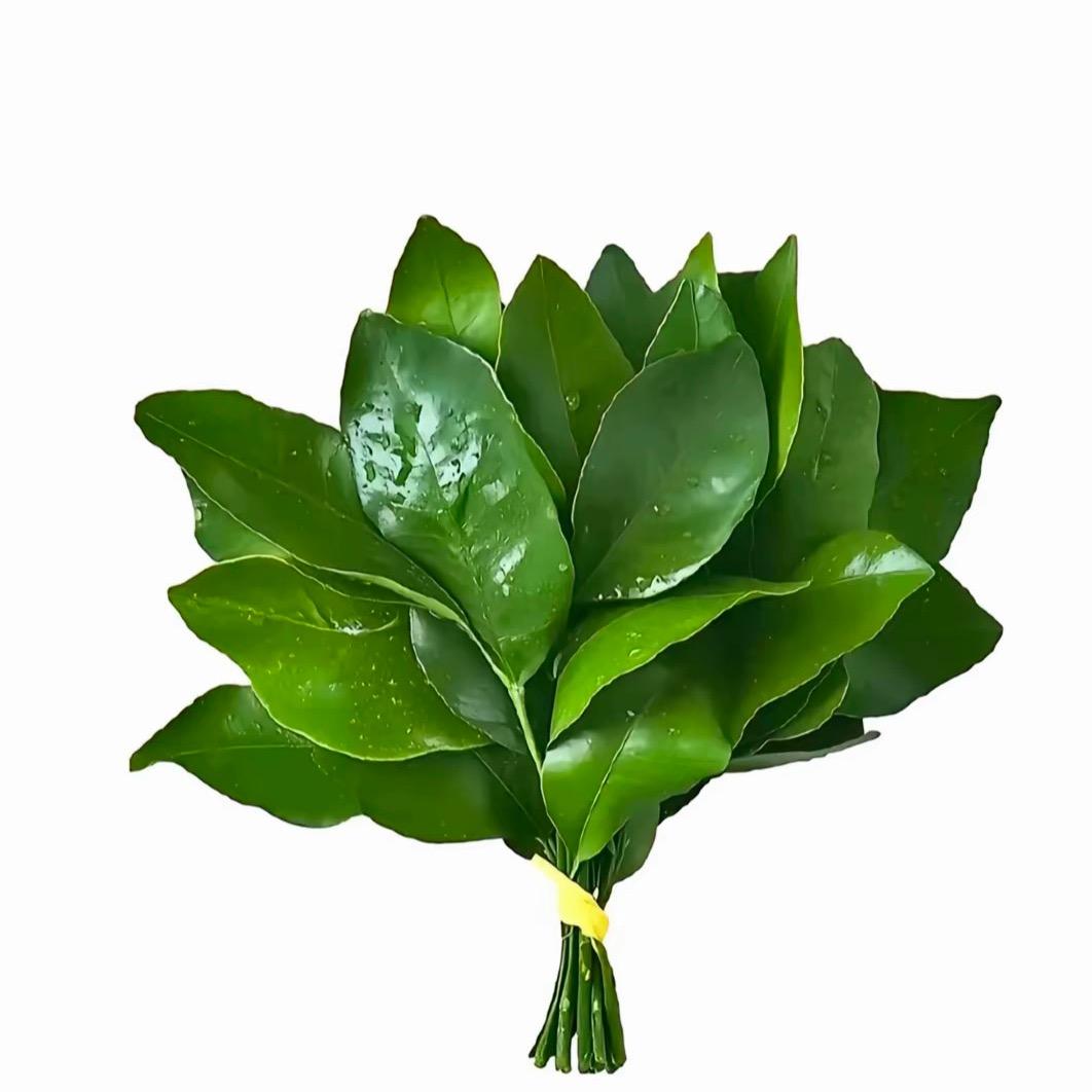 仙术无双的方志成头像