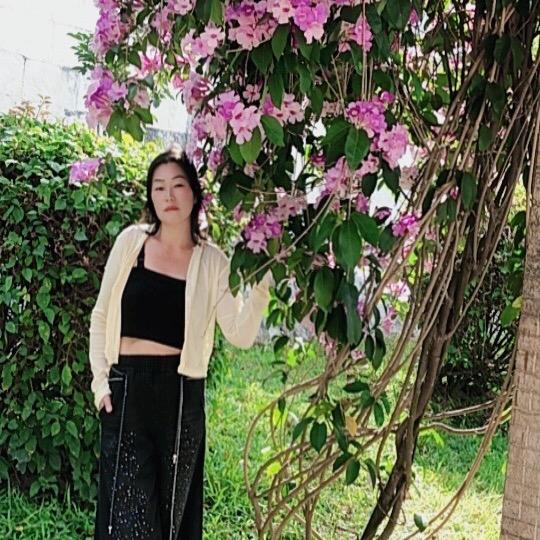 玫瑰🌹