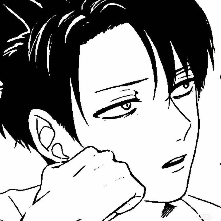 Levi