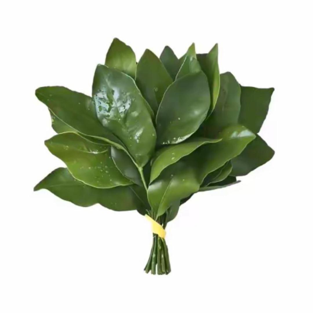 辣椒爱吃辣椒