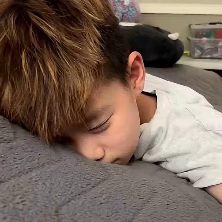 森林迷了鹿：