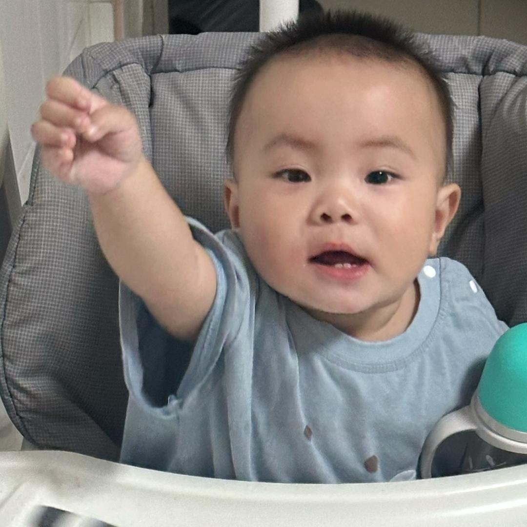 一只小杭杭