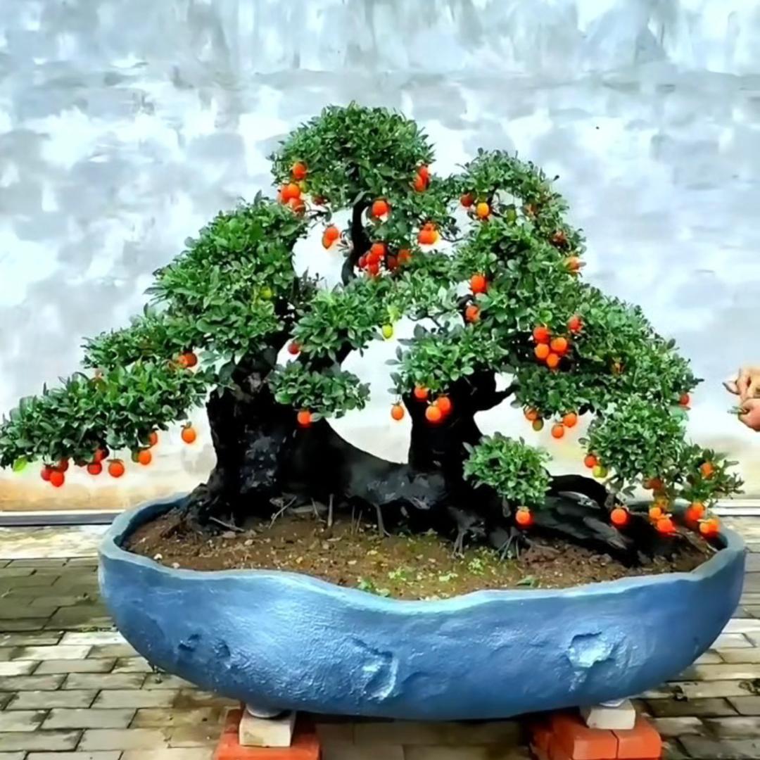 一亩七分地