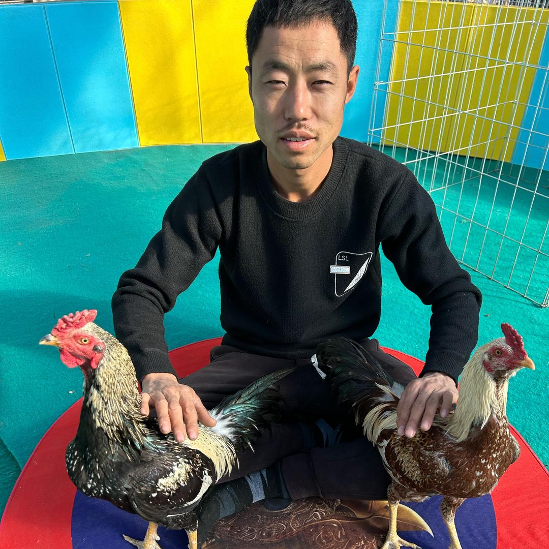 东北斗鸡人 🏆 洪 超