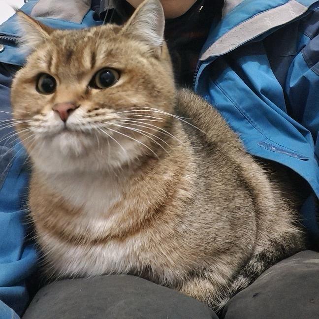 富平老庙镇农副门市