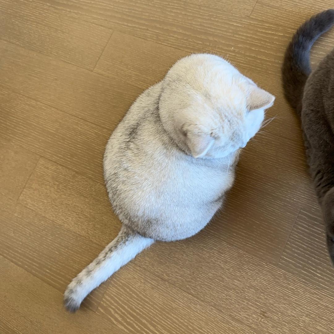指弹之间