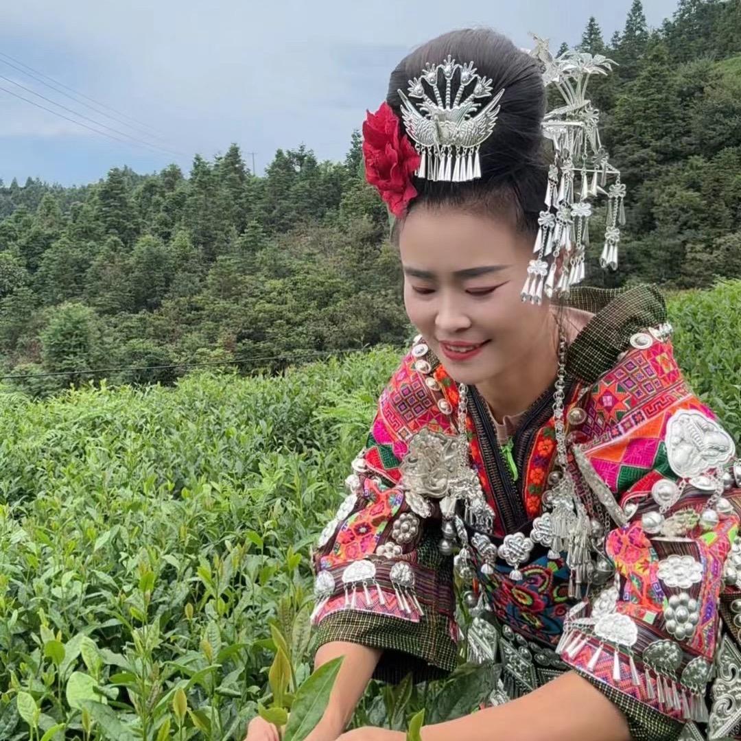 李华梅子(贵州雷山茶)