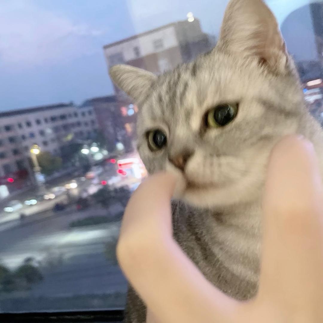 奶瓶🍼
