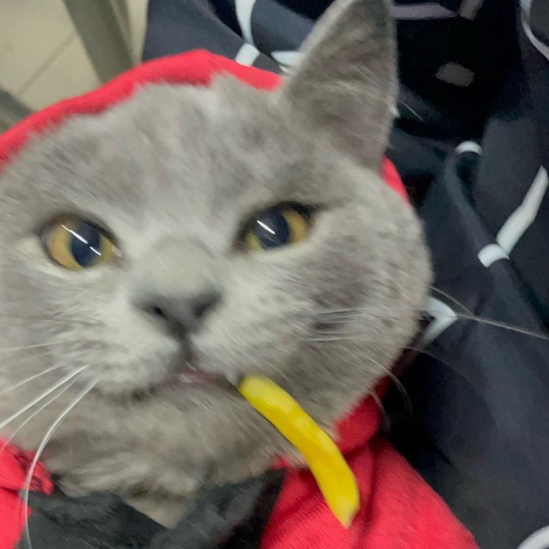 彤彤大王ovO