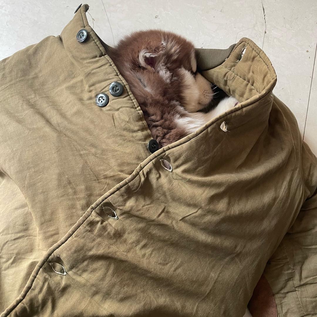 丧禿