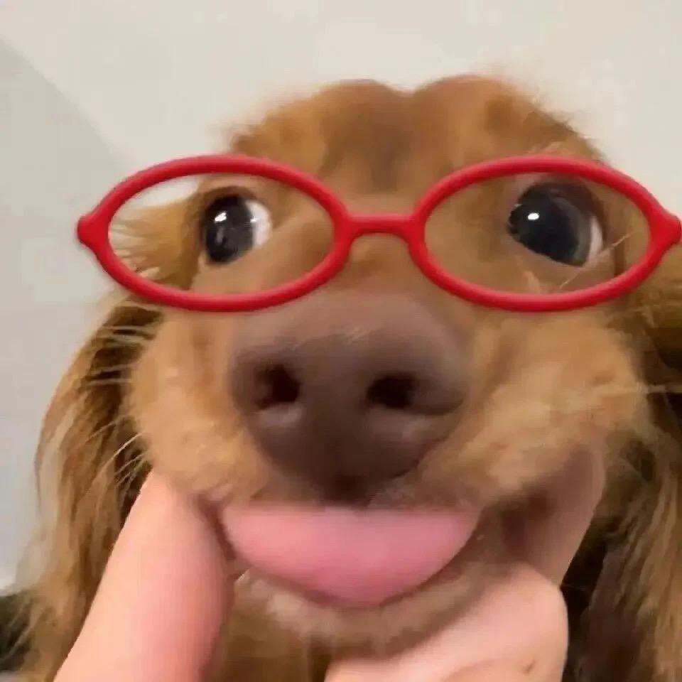 呐旧跳个舞叭