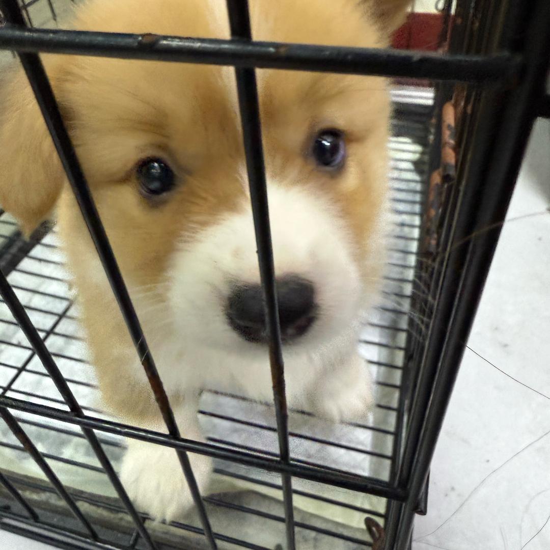 发呆