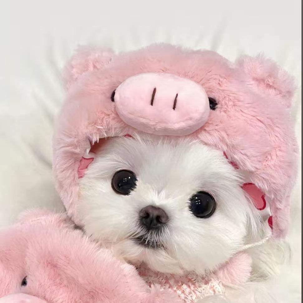 特厚款挡风被生产厂家