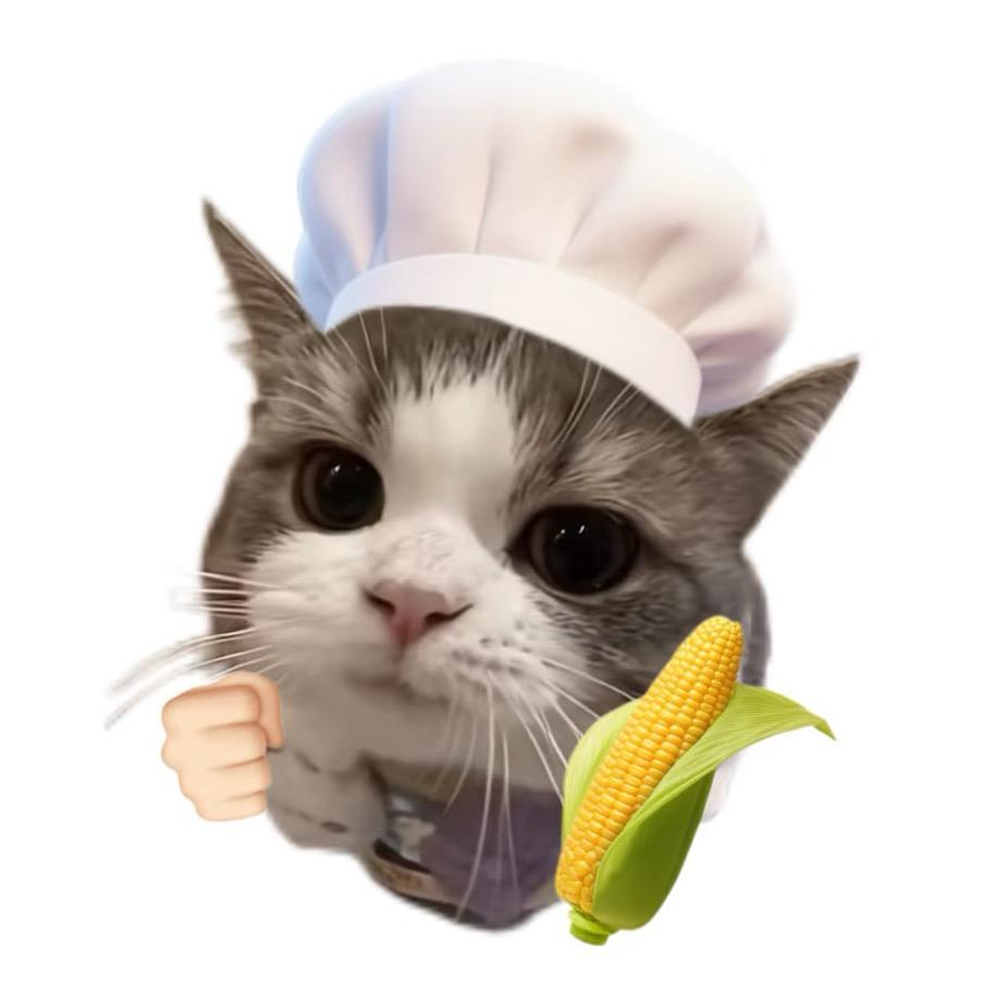 橙歌