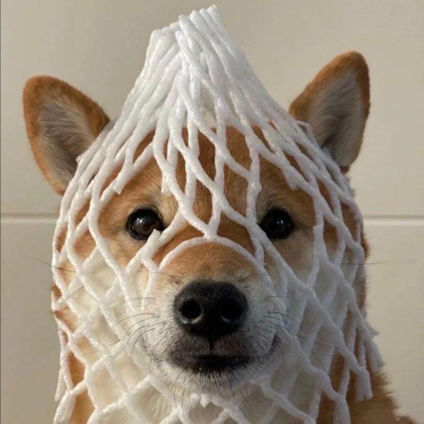 别叫我红皮猪