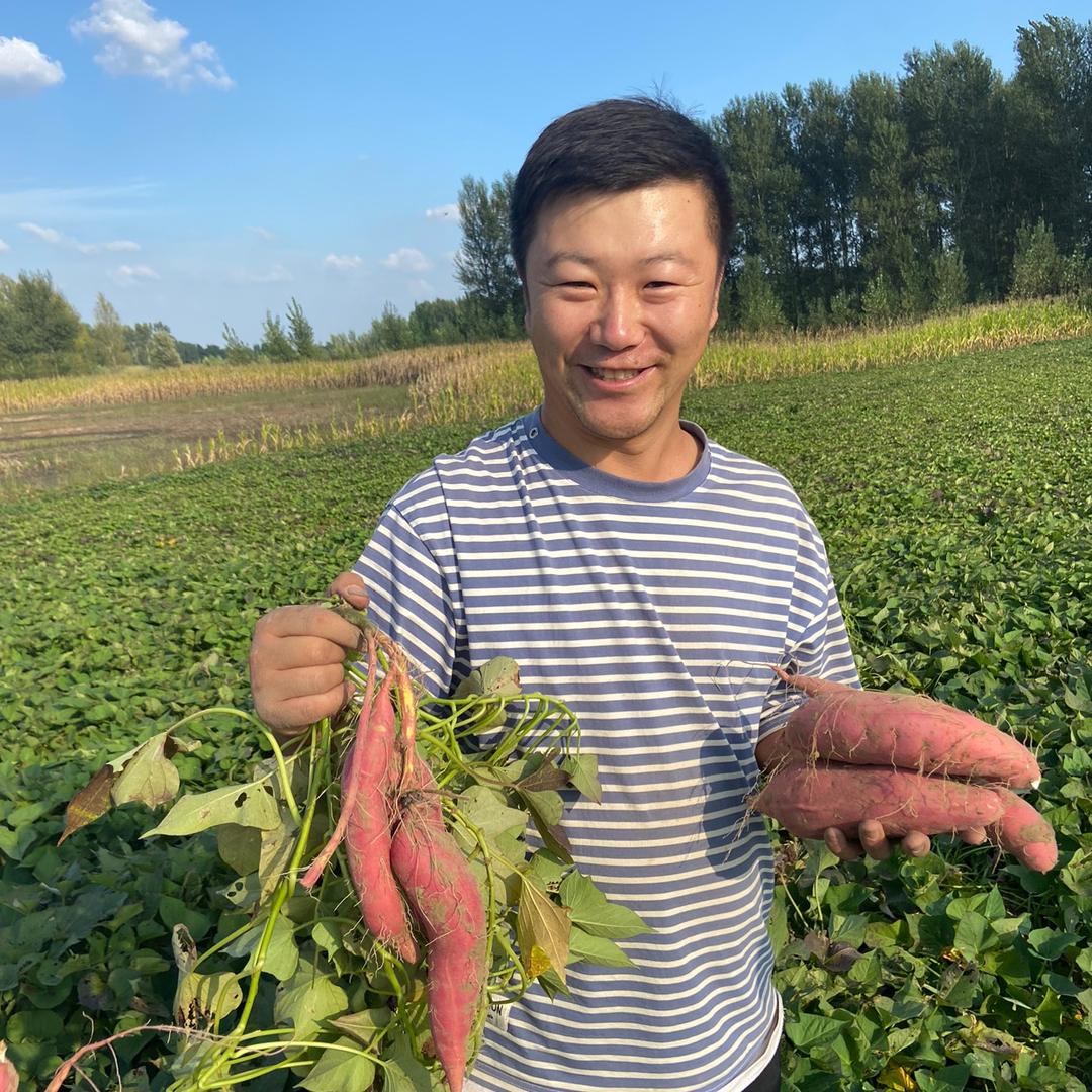 彰武红薯小梁