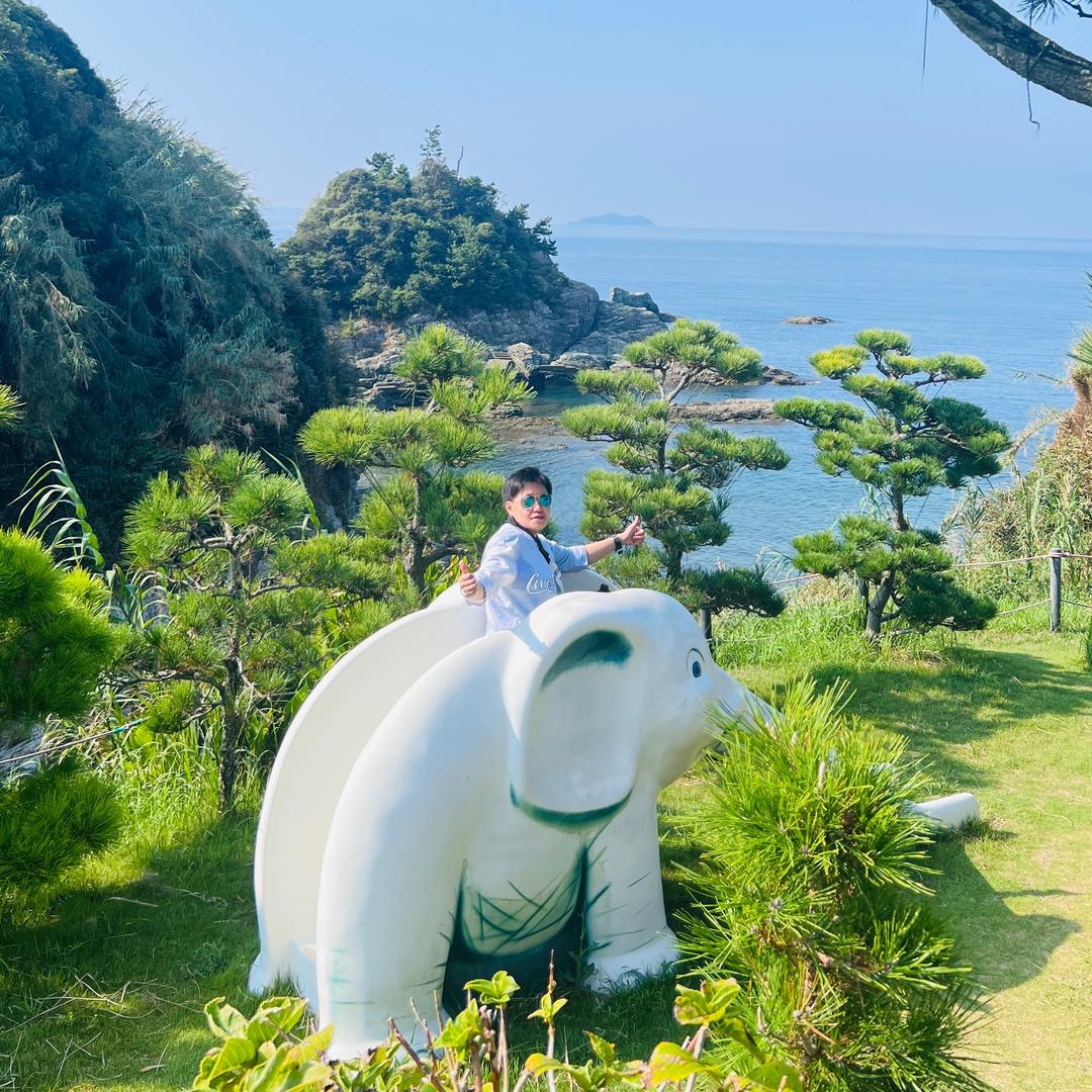 梦鑫大姨