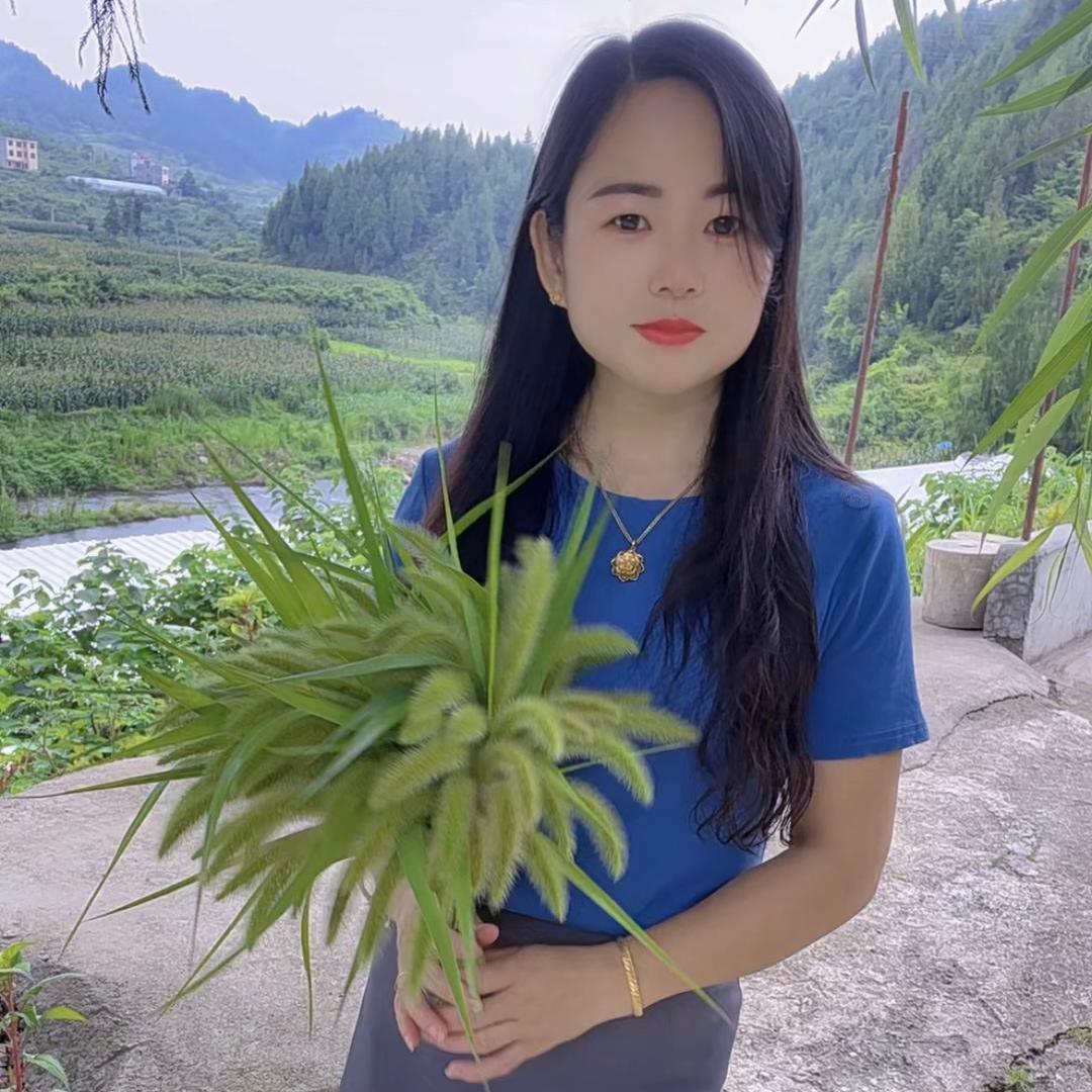 悠悠我的心