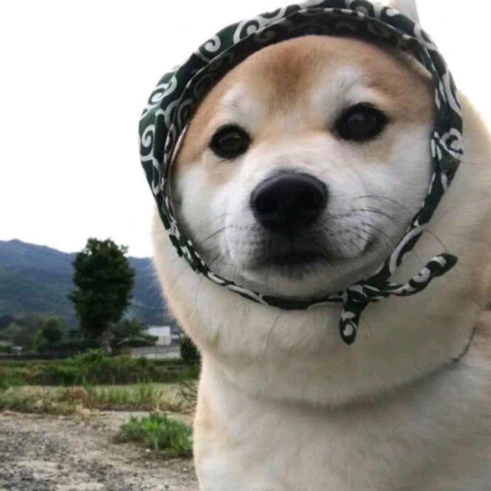 明年今日