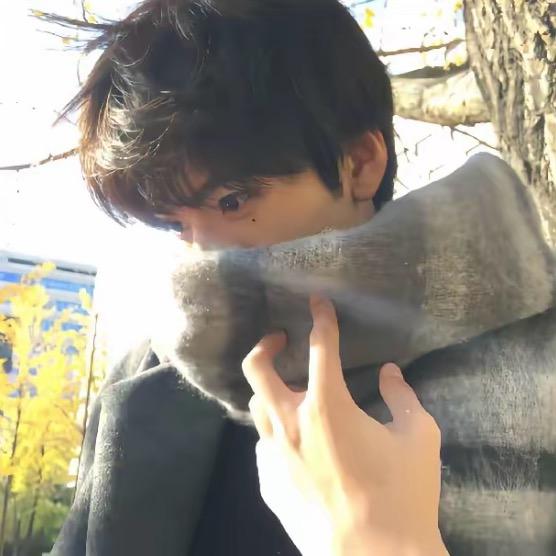 笨蛋总爱流眼泪