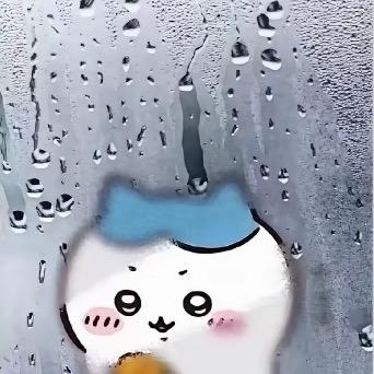 卷卷呀