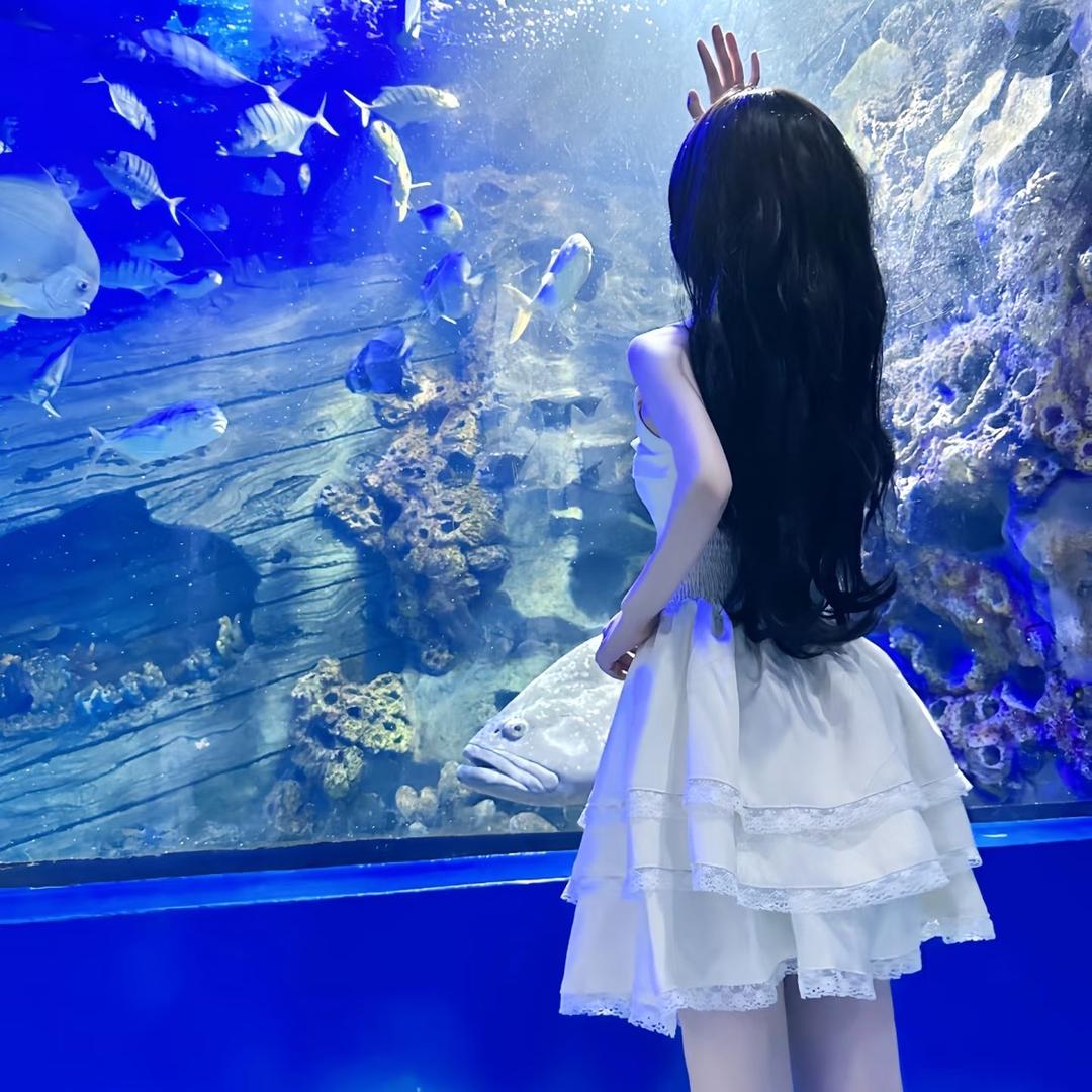 逸轩轩