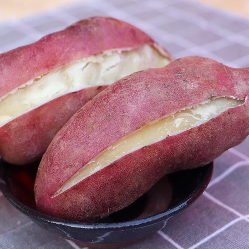 小杨（白心板栗薯）