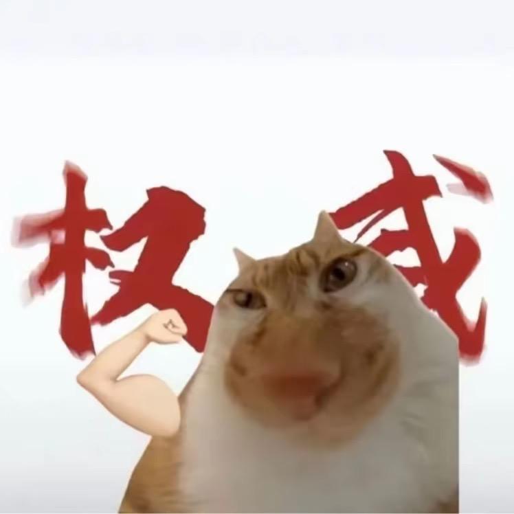 权威💪🏼