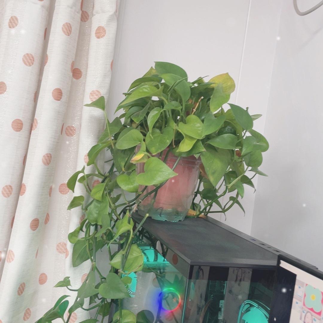 雨后彩虹1