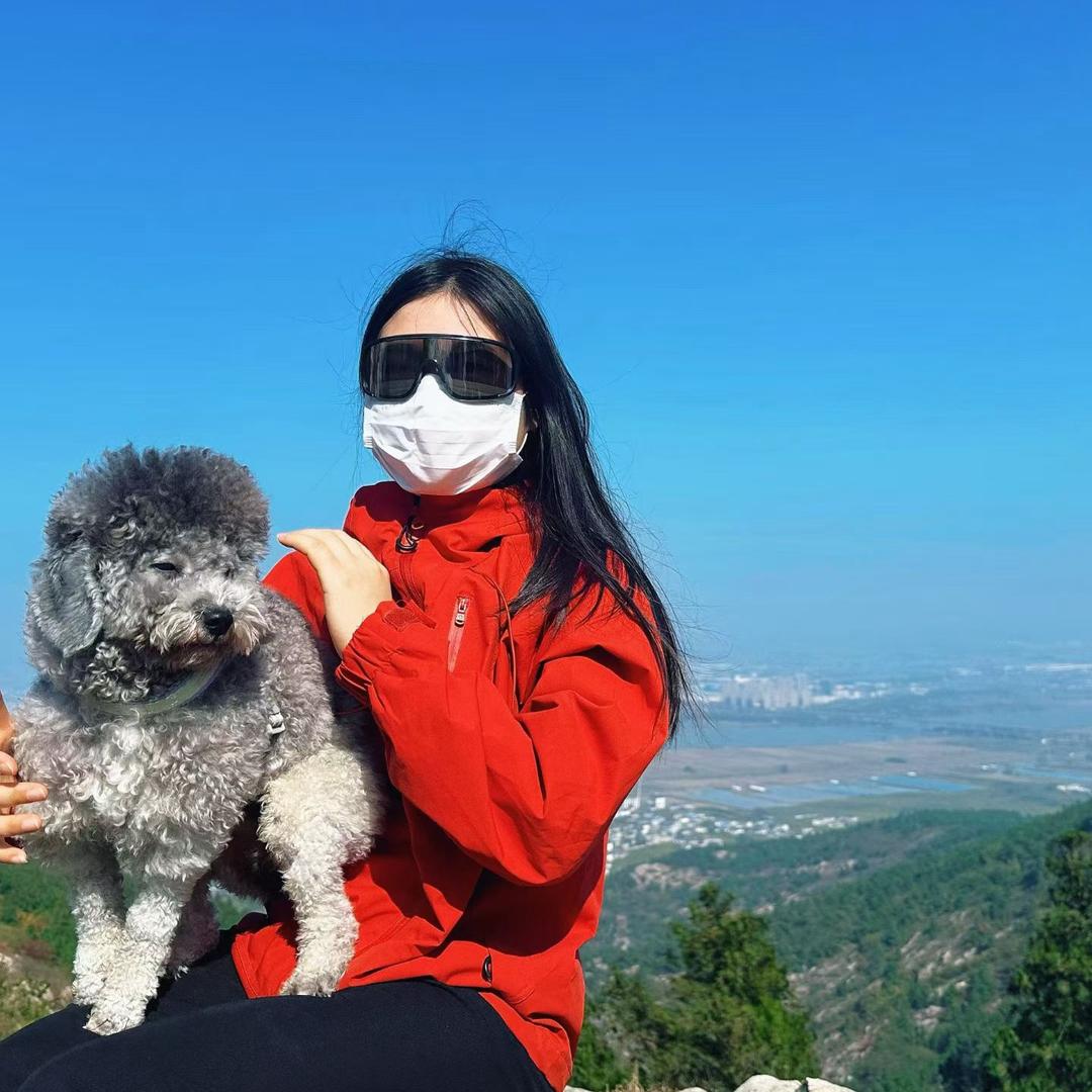 平安是只灰泰迪