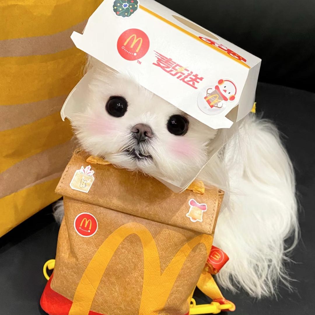小狗有话说