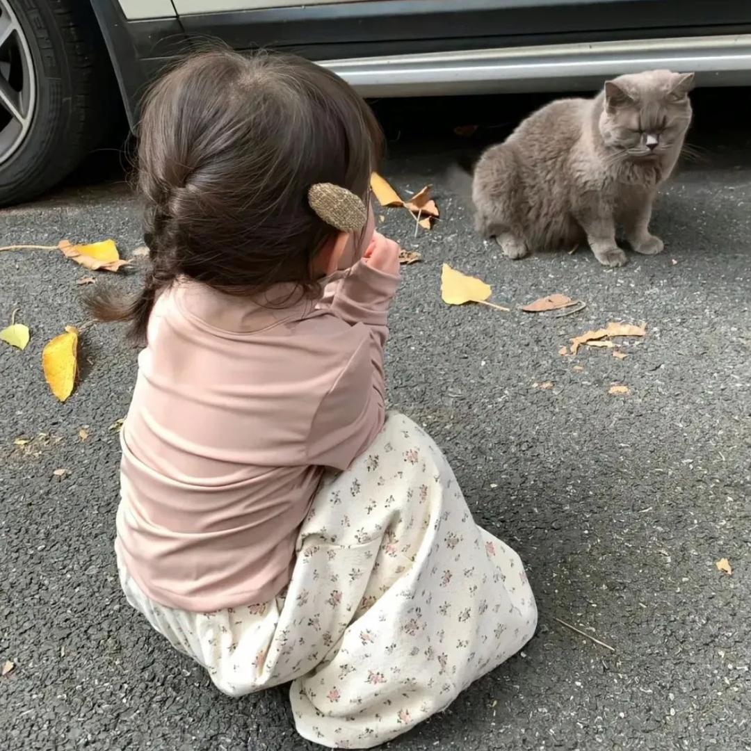 多米妈妈