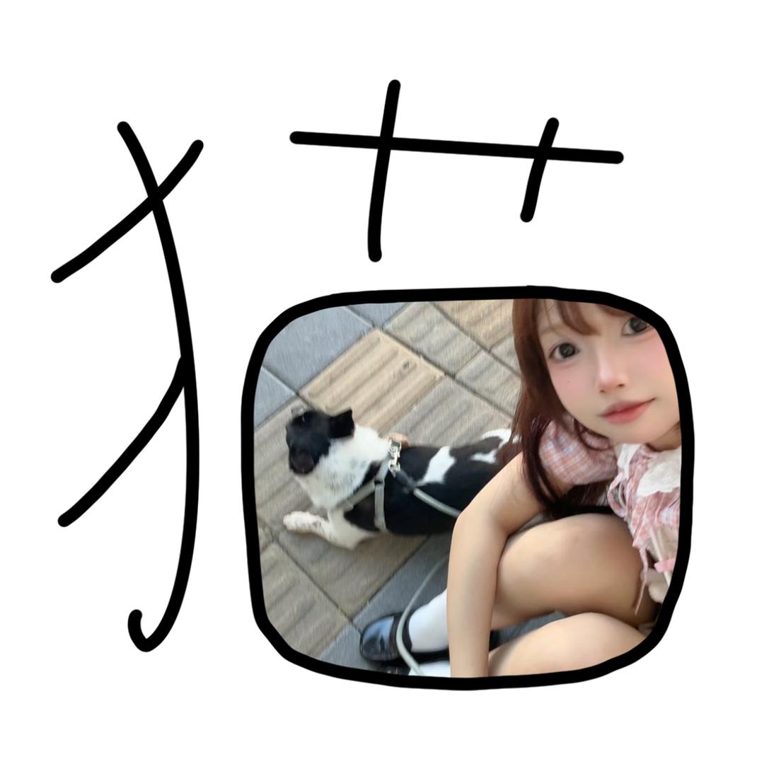 邪恶嘟兔喵喵