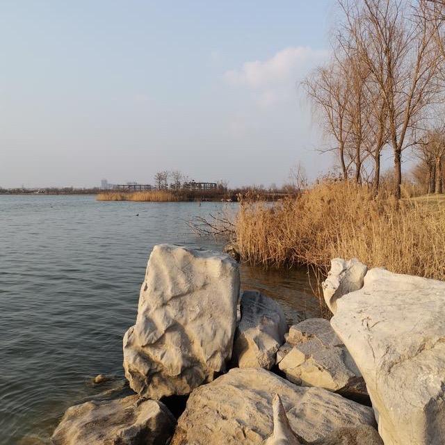 璟艺文化宋氏美学山水