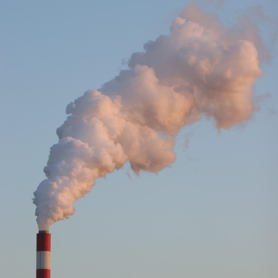 坦克世界🌈随风