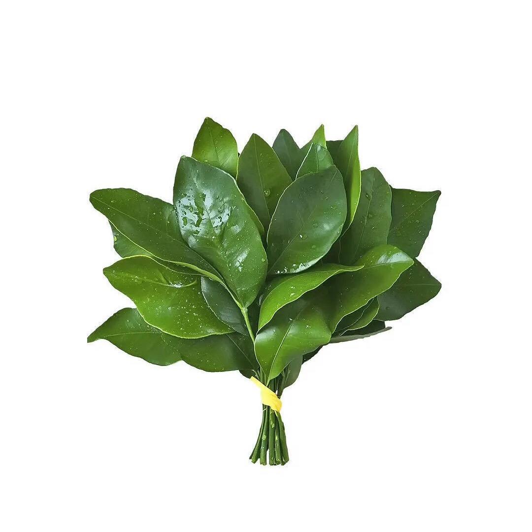 东湖媚