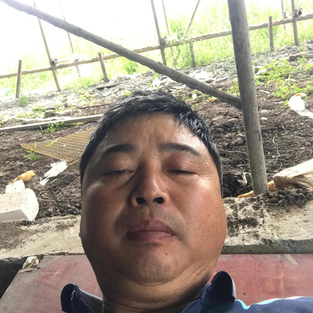 心里只有你