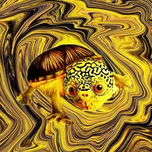 窄桥蛋龟发色贴纸鱼缸背景贴纸厂