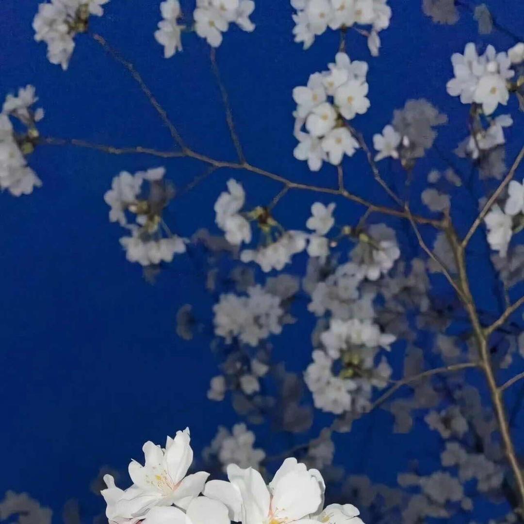 炎迪欧兴创意电器专卖店