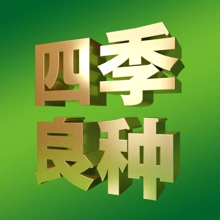 四季良种蔬菜种子