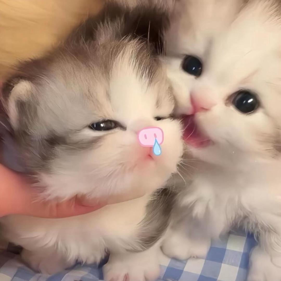 。