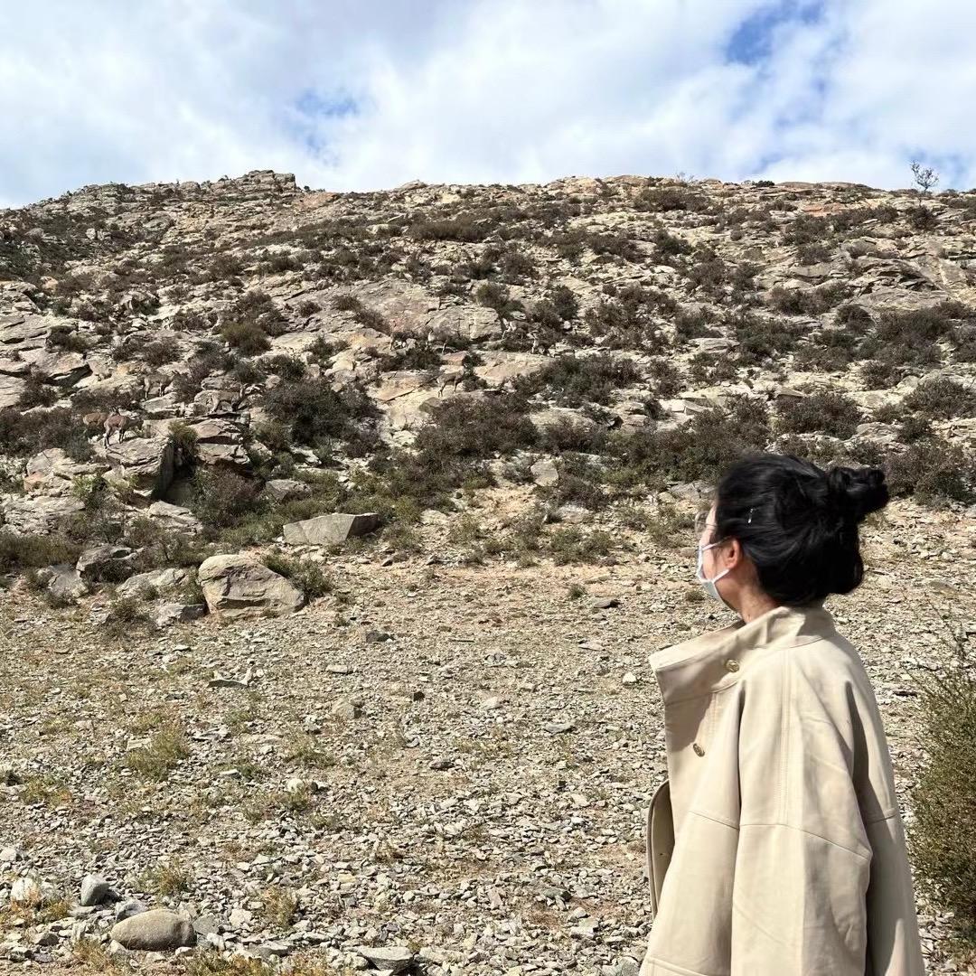 何时能换工作呀🌝