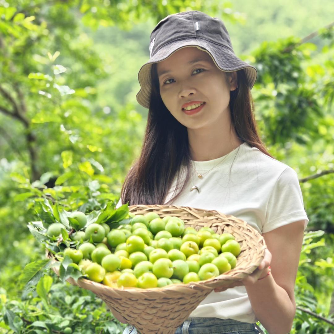 佳欢农村合作社