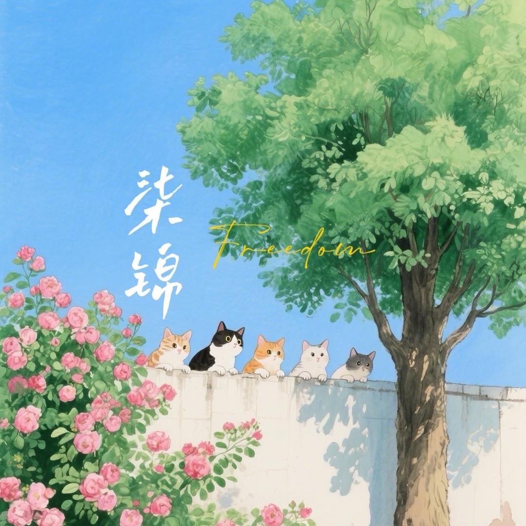 是柒锦呀
