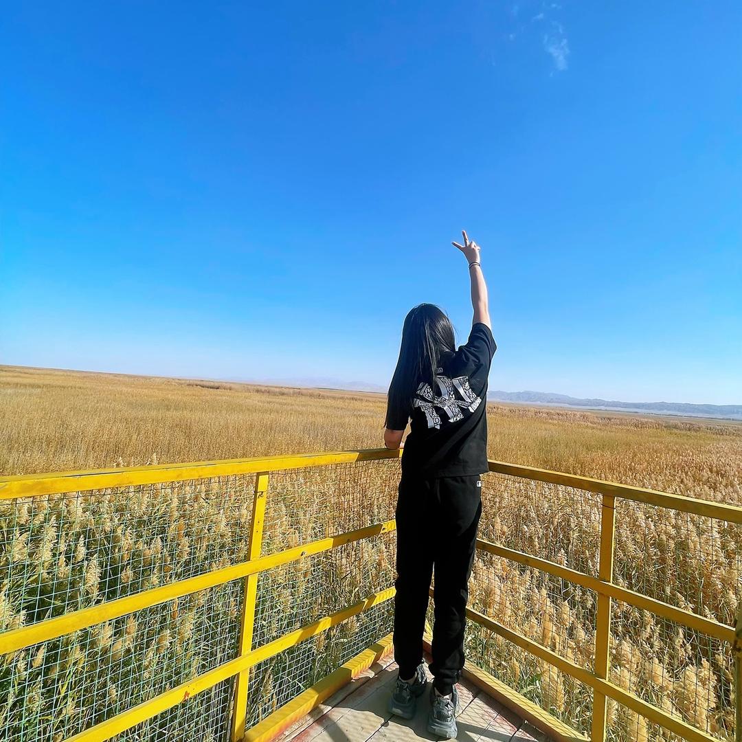 洋芋爱上土豆🥔