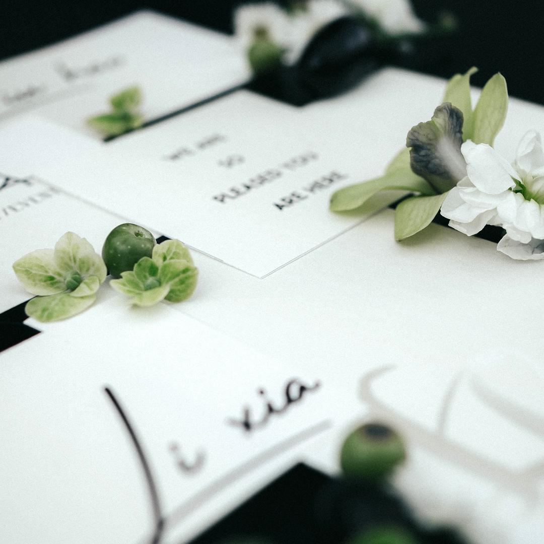 三只猪的小橱窗