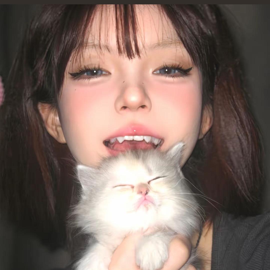 养只猫