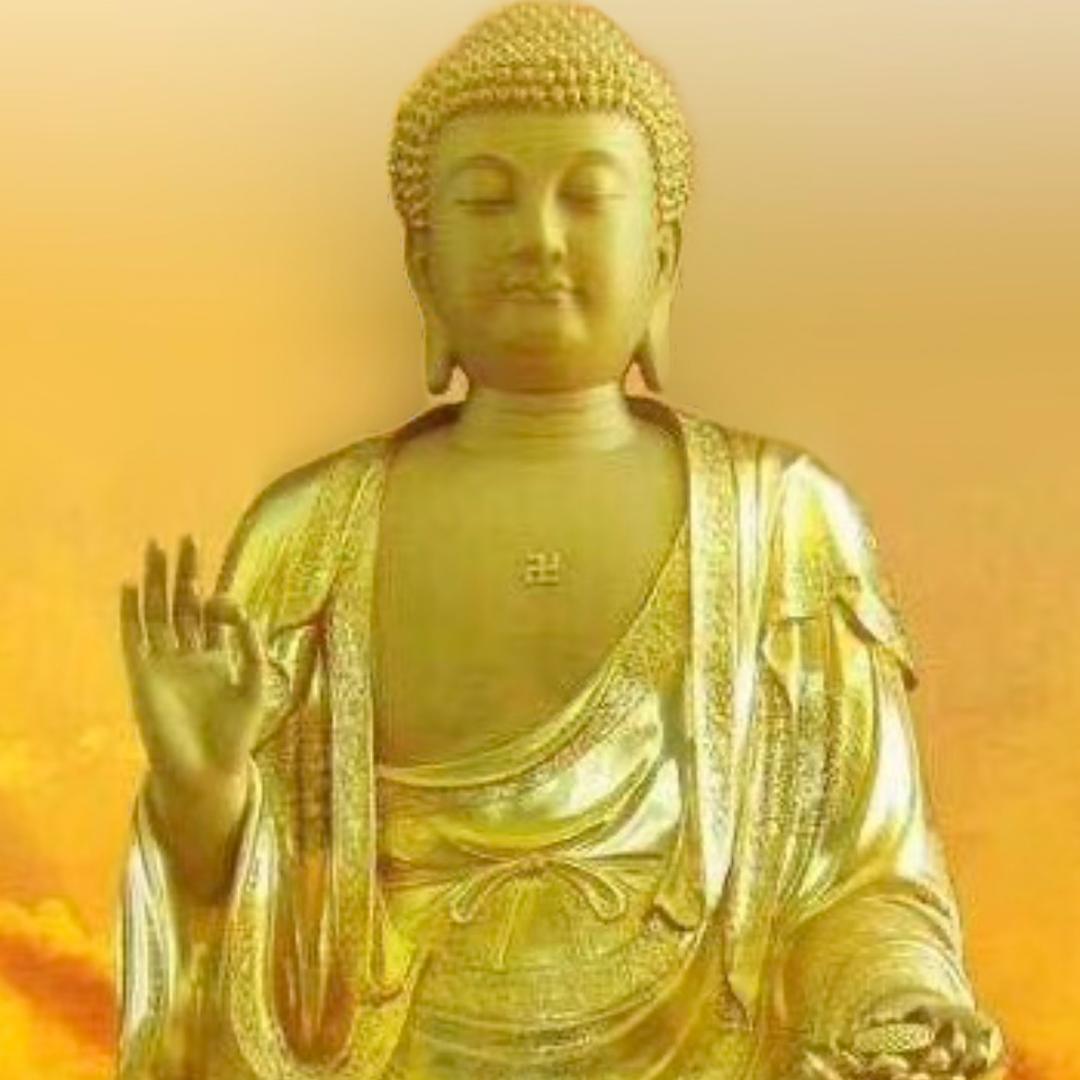 涅槃重生🙏🙏🙏