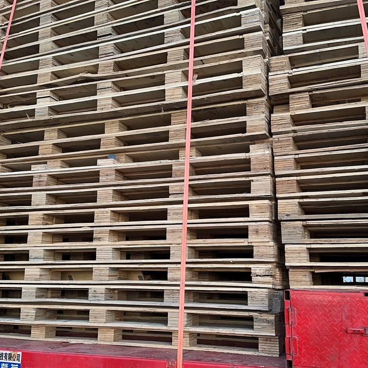 光伏行业龚娜娜